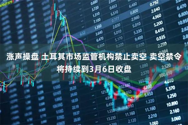 涨声操盘 土耳其市场监管机构禁止卖空 卖空禁令将持续到3月6日收盘