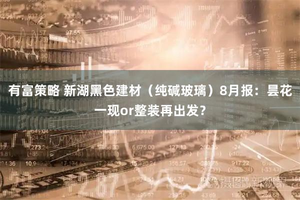 有富策略 新湖黑色建材（纯碱玻璃）8月报：昙花一现or整装再出发？